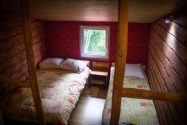 IMG_6698.jpg