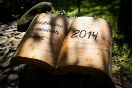 IMG_6775.jpg