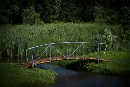 IMG_6817.jpg