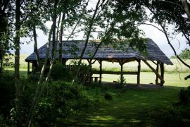 IMG_6839.jpg