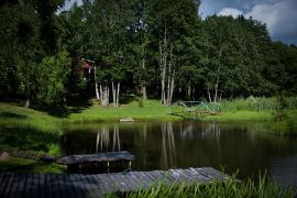 IMG_6825.jpg